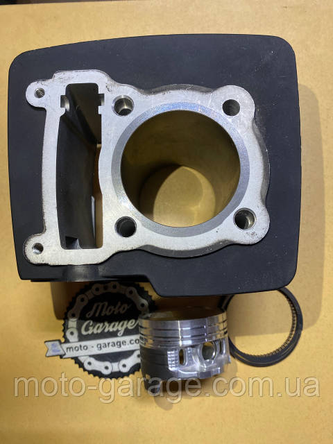 Маған мысықтың құрылымын көрсетіңіз