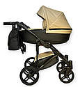 Коляска 2 в 1 Baby Pram Berta eco, фото 3