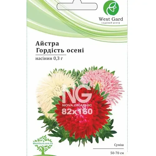 Айстра Гордість осені (серпень-жовтень) 50-70см 0,3гр ТМ WestGard