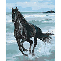 Картина по номерам "Черная лошадь" BS29330L