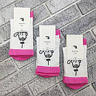 Шкарпетки жіночі високі весна/осінь р.23-25 кіт з малиновим ReflexTex 30038640, фото 2