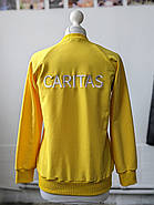 Світшоти з вашим Логотипом Vsetex Slim Кольорові брендування на серці та спині (10см + 25см), фото 6