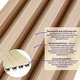 Рейка декоративна WPC стінова 3000х160х23мм Дуб SW-00001855, фото 2