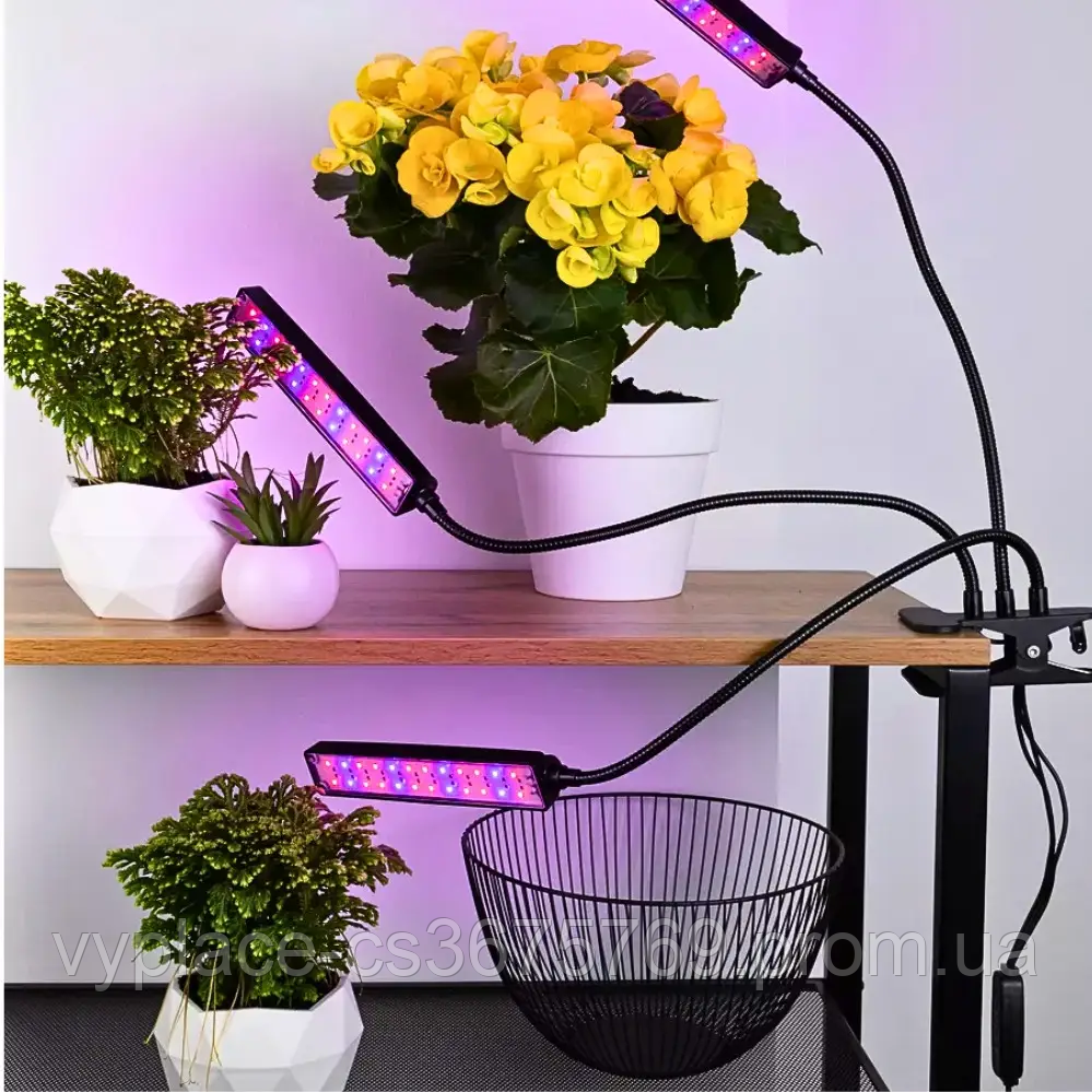 Лампа 3в1 для комнатных растений, Светильник светодиодная 8 режимов яркости, Фитолампа для растений с таймером - фото 5 - id-p2094204501