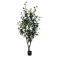 Искусственное растение Engard Eucalyptus, 180 см (TW-15)