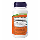 Panax Ginseng 500mg - 100 vcaps, фото 3