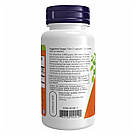 Panax Ginseng 500mg - 100 vcaps, фото 4