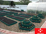 Клумби для квітів., фото 2