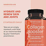 ReserveAge Nutrition, Collagen Booster, Підсилювач Колагену, з гіалуроновою кислотою та ресвератролом, 60 капсул. Зроблено в США., фото 5