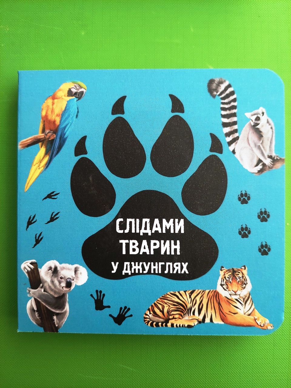 Слідами тварин. У джунглях. Ірина Ткачук. Читаріум