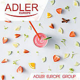 Смузі мейкер Adler AD 4054r емність 0.6 л, фото 3