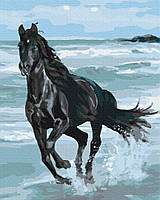 Чёрная лошадь