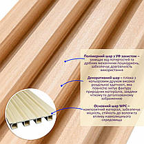 Рейка декоративна WPC стінова 3000х160х23мм Світлий дуб SW-00001854, фото 2