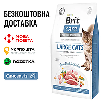 Brit Care Large Cats Duck & Chicken | Беззерновой сухой корм для больших пород с уткой и курицей, 2 КГ