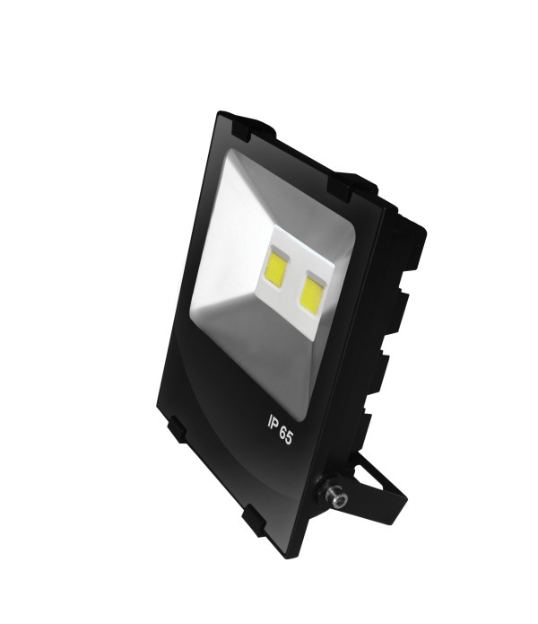Прожектор EUROELECTRIC LED COB чорний з радіатором 100 W 6500 K modern (LED-FLR-COB-100)