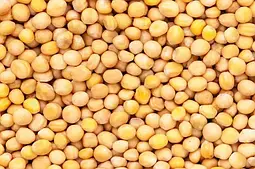 ГОРОХ ЖОВТИЙ