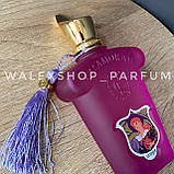 Жіночі Парфуми Xerjoff Casamorati La Tosca 100 ml Ксерджоф Казаморатті Ла Тоска, фото 5