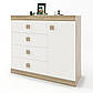 Комод з дверима та 4-ма ящиками Еверест Соната-5 105х38х94 дуб сонома + білий (DTM-2062), фото 2
