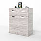 Комод з дверцятами та ящиком Еверест Соната-4 80х38х94 дуб крафт білий (DTM-2699), фото 2