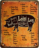 Металлическая табличка / постер "Разделка Свинины / Pork Cutting" 18x22см (ms-103830)