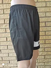 Шорти унісекс трикотажні брендові, є великі розміри FILA, фото 4