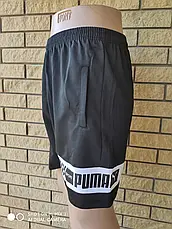 Шорти унісекс трикотажні брендові, є великі розміри PUMA, фото 4