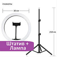 Кольцевая LED лампа 30 см на штативе с держателем для телефона (штатив 2,1 метра)