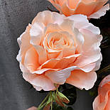 Кущ троянда гіганська 72 см (10 шт. в уп), фото 5