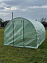 Теплиця парник 10m2, 4х2,5х2м Malatec, фото 3
