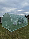 Теплиця парник 10m2, 4х2,5х2м Malatec, фото 4