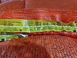 Штутгартер цибуля насінева Broer (Нідерланди) 20 кг, фото 3
