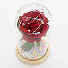 Троянда в колбі з LED підсвічуванням 15,5см, в подарунковій упаковці / Вічна троянда в скляній колбі / Квітка в колбі, фото 4
