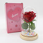 Троянда в колбі з LED підсвічуванням 15,5см, в подарунковій упаковці / Вічна троянда в скляній колбі / Квітка в колбі, фото 8