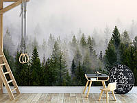 Красивые фотообои "Туманный лес", флизелиновые фотообои для комнаты