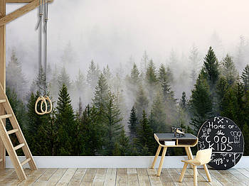 Красиві фотошпалери "Туманний ліс", флізелінові фотошпалери для кімнати