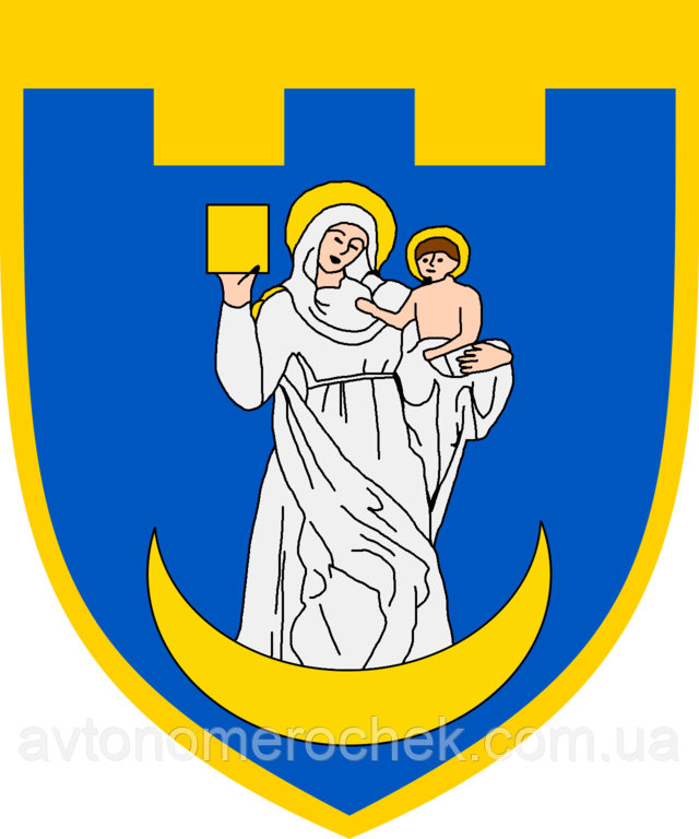 Наліпка 117-та окрема бригада територіальної оборони (Сумська область), фото 1