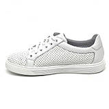 Жіночі шкіряні кеди білого кольору на шнурівці з перфорацією MIDA 230073(34) розмір 36, фото 2