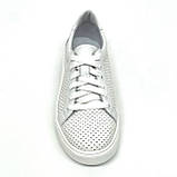 Жіночі шкіряні кеди білого кольору на шнурівці з перфорацією MIDA 230073(34) розмір 36, фото 3