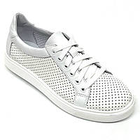 Жіночі шкіряні кеди білого кольору на шнурівці з перфорацією MIDA 230073(34) розмір 36