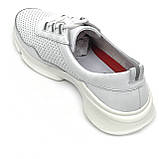Жіночі шкіряні кросівки білого кольору на шнурівці з перфорацією MIDA 230226(34) розмір 36, фото 5