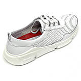 Жіночі шкіряні кросівки білого кольору на шнурівці з перфорацією MIDA 230226(34) розмір 36, фото 7