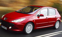 Автомобіль PEUGEOT 307 2003 р.1.4