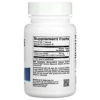 Куркумін 95 (Curcumin 95) Lake Avenue Nutrition, 500 мг 30 вегетаріанських капсул, фото 3