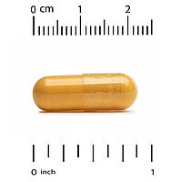 Куркумін 95 (Curcumin 95) Lake Avenue Nutrition, 500 мг 30 вегетаріанських капсул, фото 4