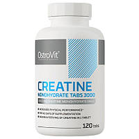 Креатин OstroVit Creatine Monohydrate 3000 mg (120 таблеток.)