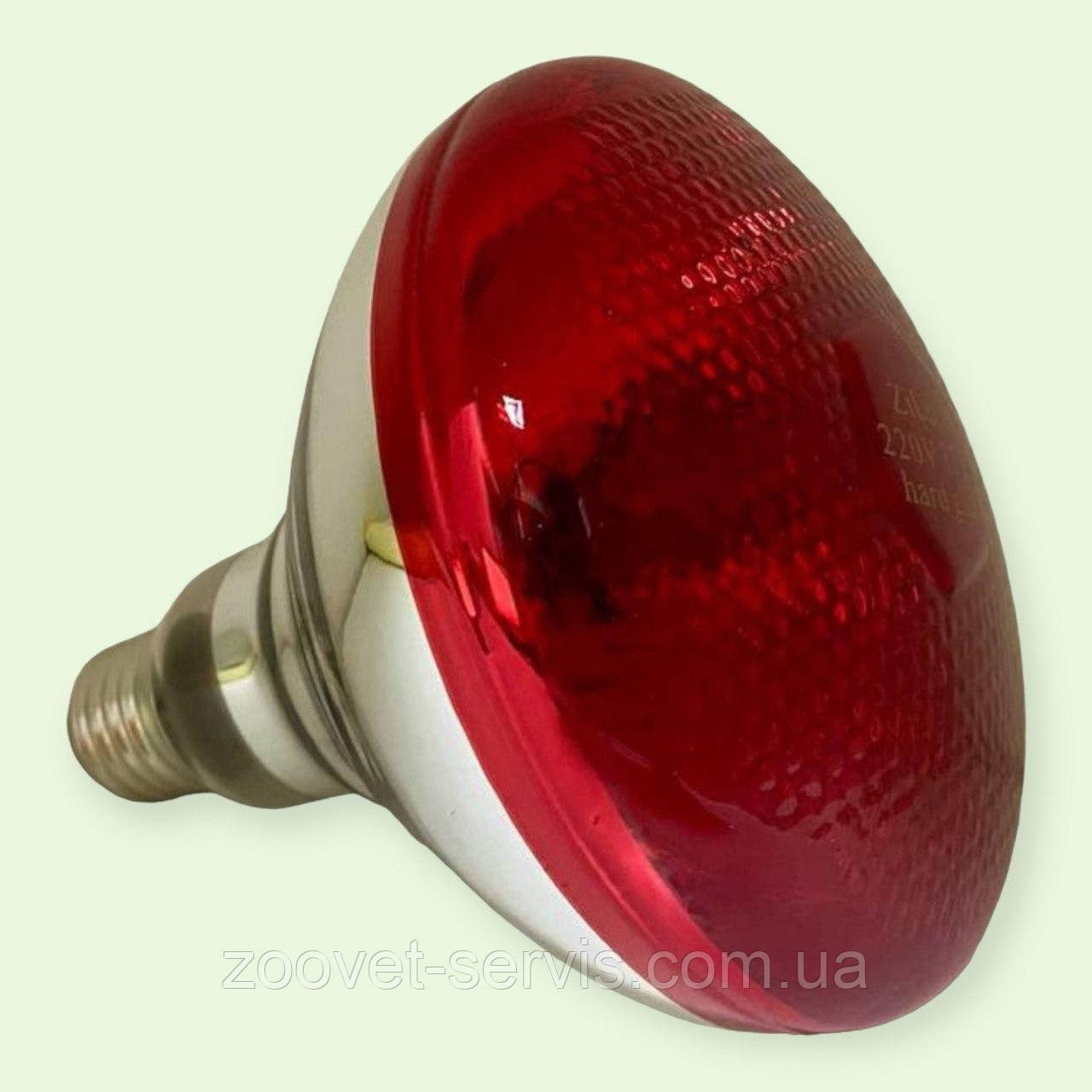 Лампа інфрачевона тверде скло червона 175W ВR для обігріву тварин, птахів і рептилій