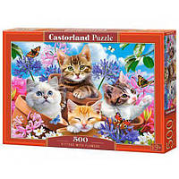 Пазлы Castorland "Котята в цветах" 500 элементов 47 х 33 см B-53513