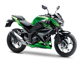 Z 300