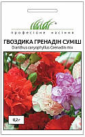 Гвоздика Гренадін суміш 0,2гр Професійне насіння