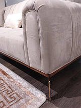 Диван розкладний прямий велюровий, Холлі, фото 5